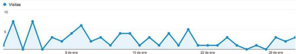 Grafica Visitas ricveal.com
Enero