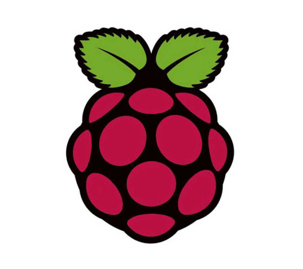 El
famoso logo de la Raspberry
Pi