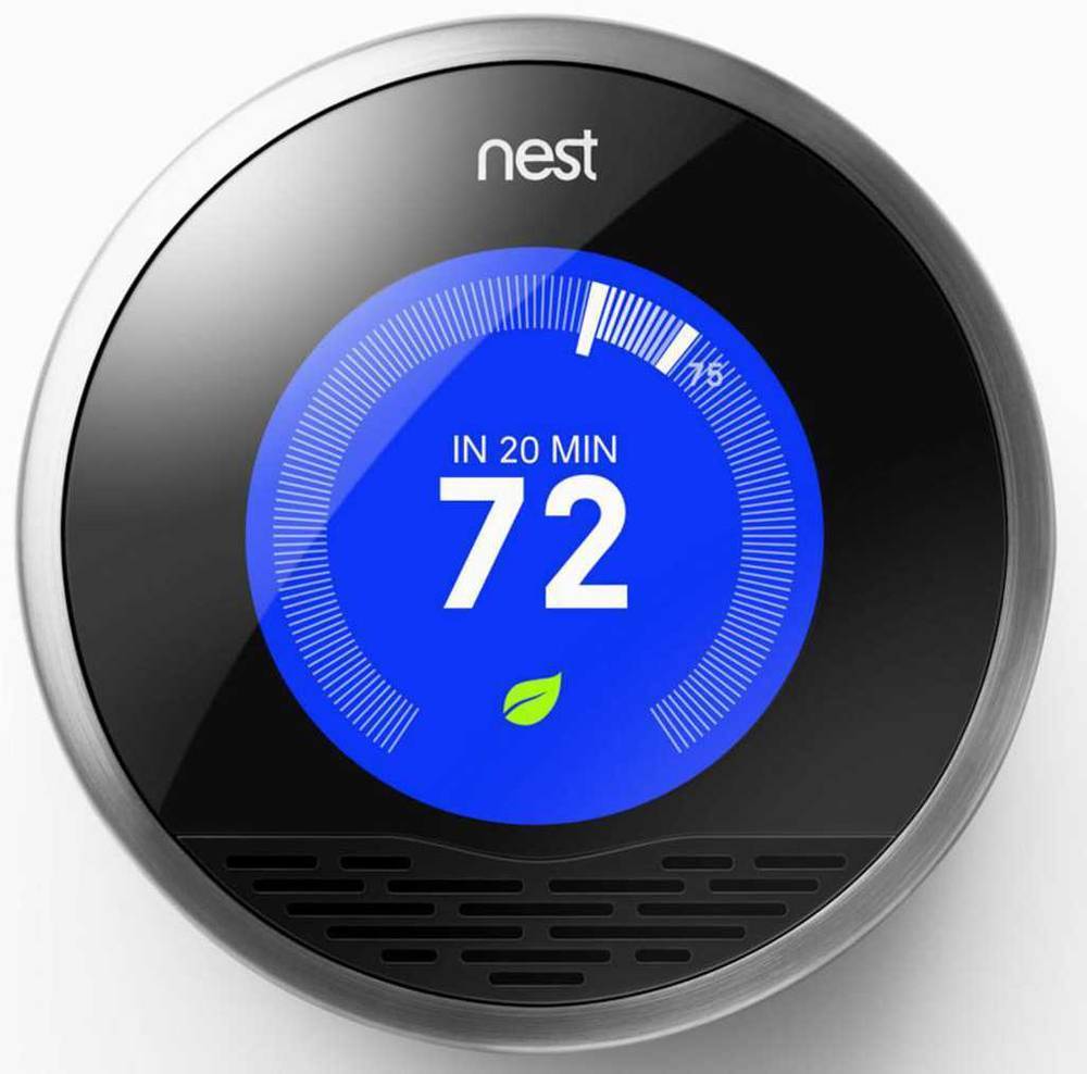 nest