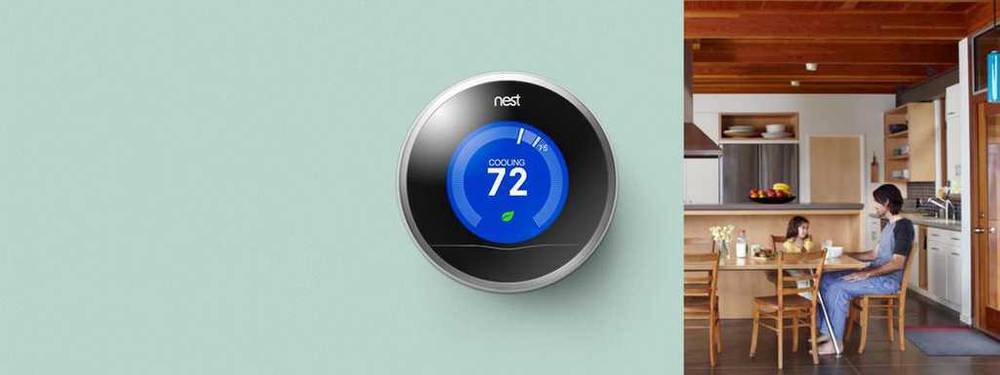 Nest
